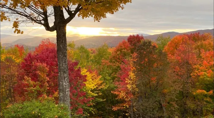 ROUTE 11 RV SITES Picture 8