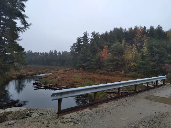 Downeast Wilderness Experience Picture 8