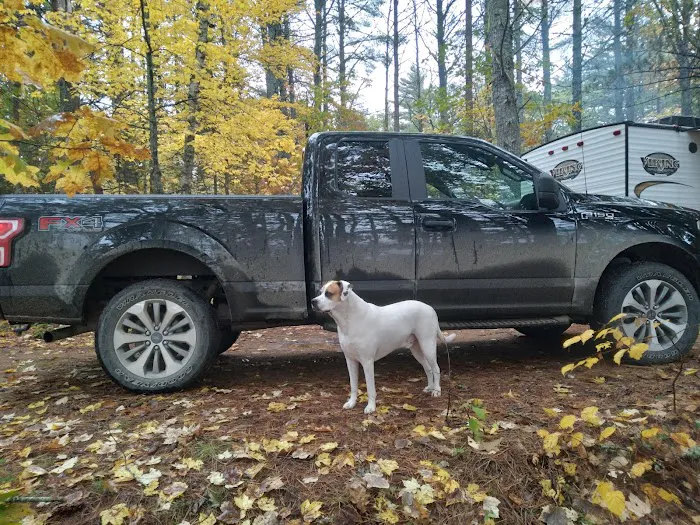 Downeast Wilderness Experience Picture 2