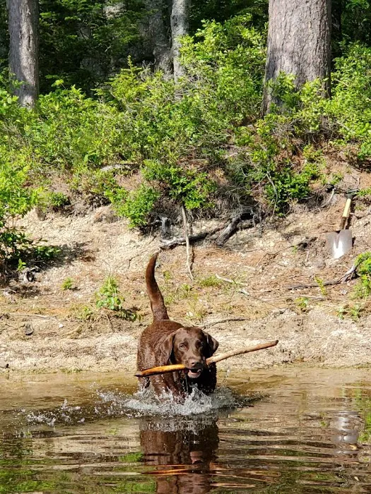 Downeast Wilderness Experience Picture 3