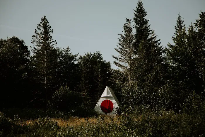 Smithereen Farm Blueberry Land (U-Pick and Camping) Picture 4