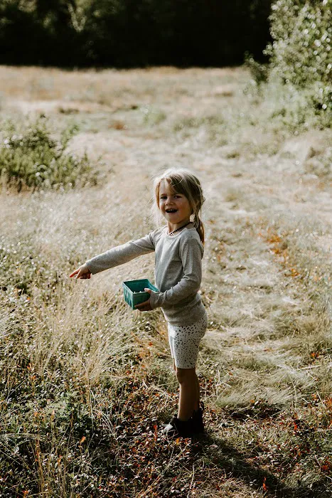 Smithereen Farm Blueberry Land (U-Pick and Camping) Picture 2