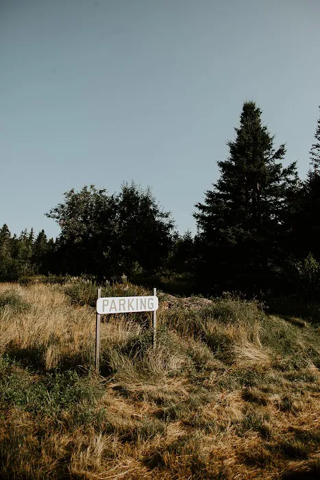 Smithereen Farm Blueberry Land (U-Pick and Camping) Picture 6