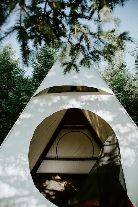 Smithereen Farm Blueberry Land (U-Pick and Camping) Picture 5