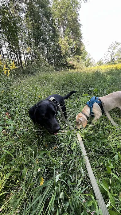 Malabar Farm State Park Campground Picture 3