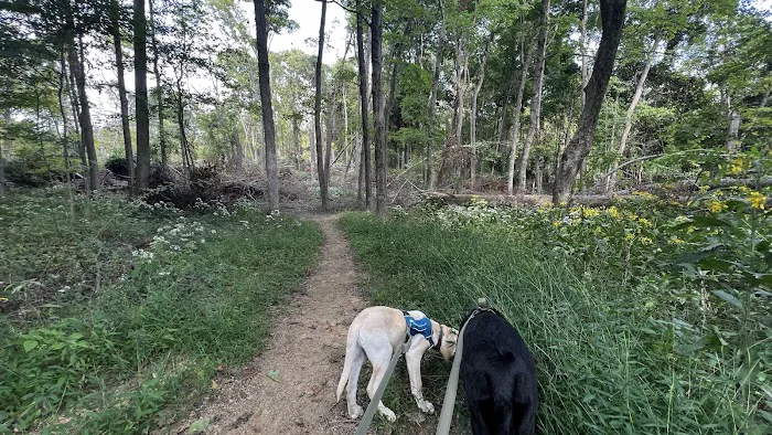 Malabar Farm State Park Campground Picture 8