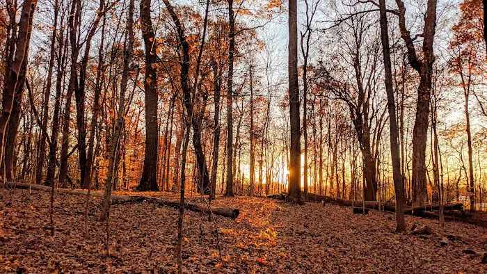 Malabar Farm State Park Campground Picture 5