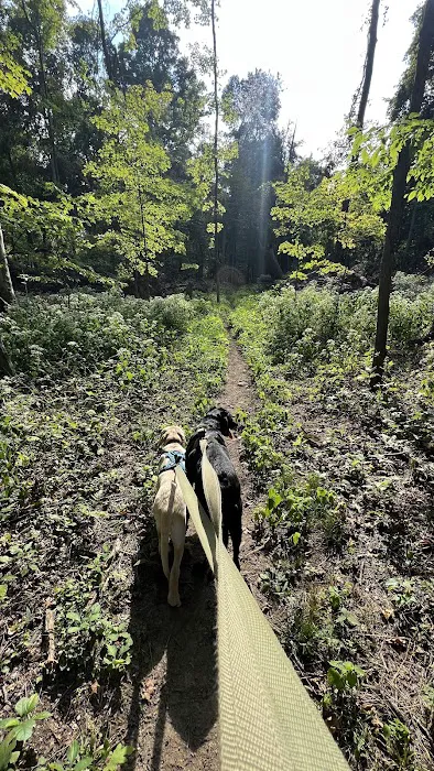 Malabar Farm State Park Campground Picture 9