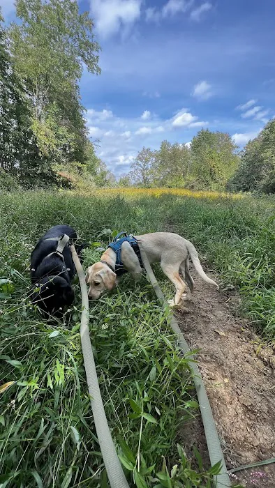 Malabar Farm State Park Campground Picture 1