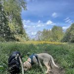 Malabar Farm State Park Campground