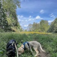 Malabar Farm State Park Campground ico