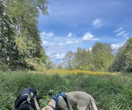 Malabar Farm State Park Campground