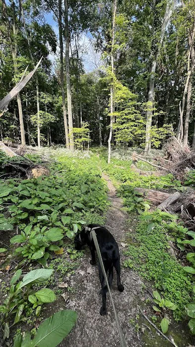 Malabar Farm State Park Campground Picture 6