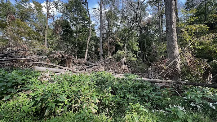 Malabar Farm State Park Campground Picture 7