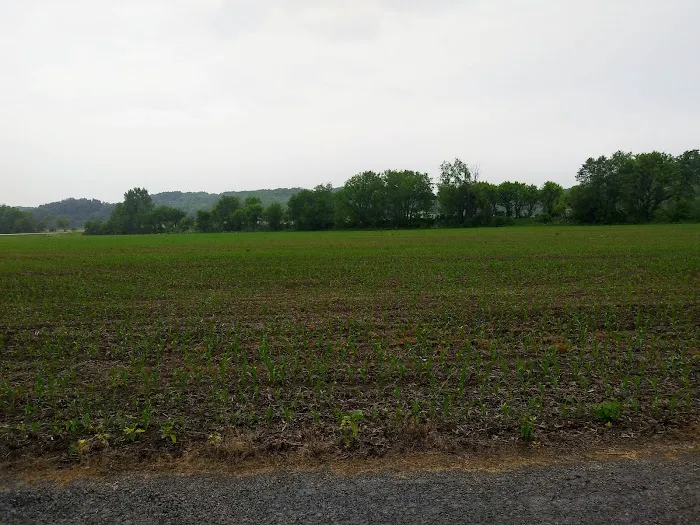 River Trail Crossing Picture 4