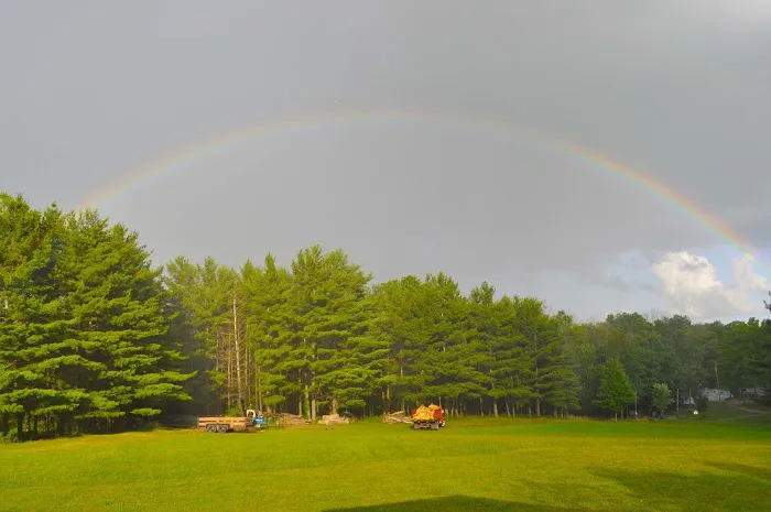 Sunset Springs RV Resort Picture 9