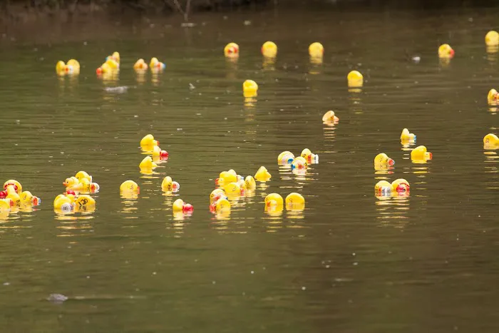 Sunset Springs RV Resort Picture 8