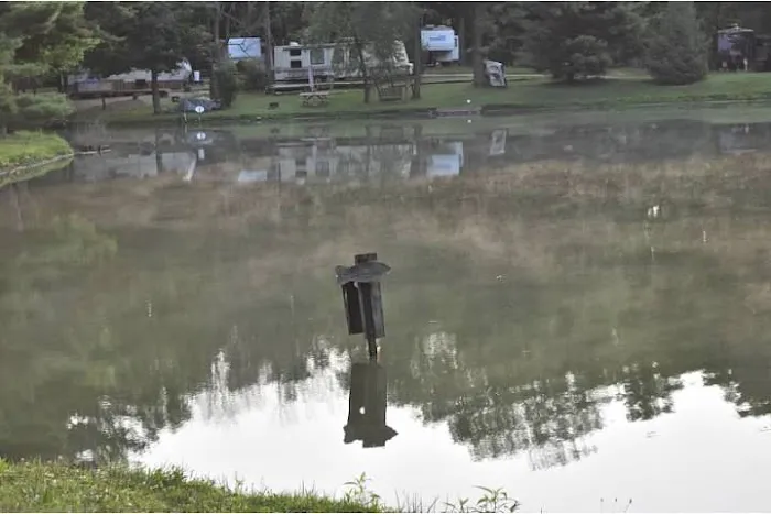 Sunset Springs RV Resort Picture 2