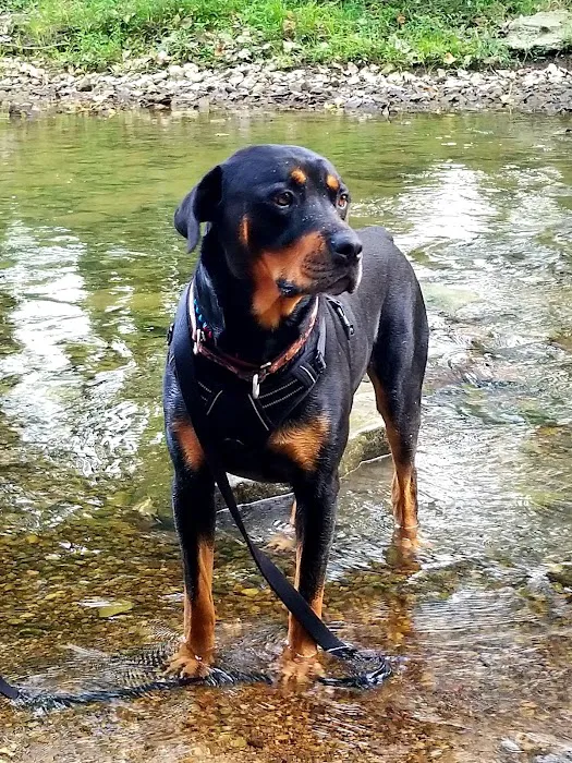 Foxfire Family Fun Park Picture 7