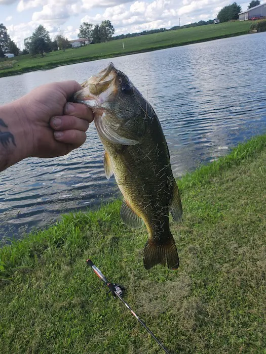 Clinton Lake Camping Picture 7