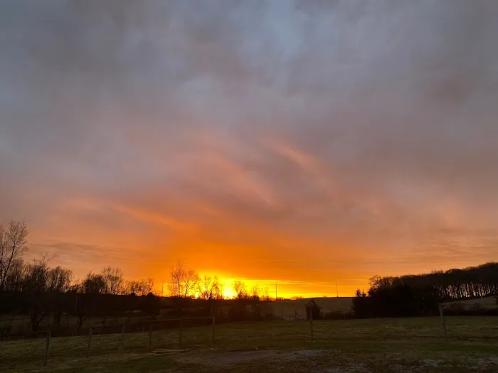 Tipi Farm Stays at Cherokee Valley Bison Ranch Picture 4