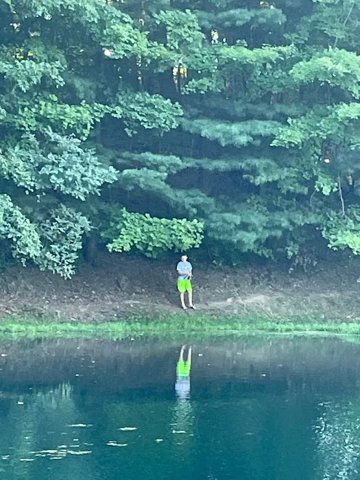 Rustic Knolls Campsites and Cabins Picture 2