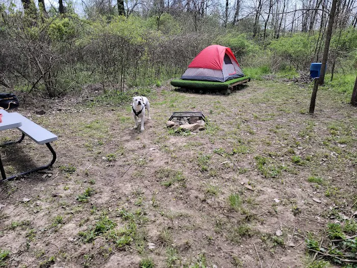 TUCKED AWAY TENTING LLC Picture 3