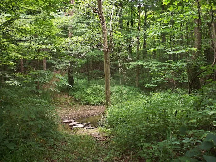 Grins & Pickin's CampFarm LLC Picture 1