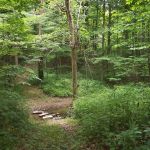 Grins & Pickin's CampFarm LLC