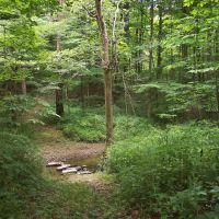 Grins & Pickin's CampFarm LLC ico