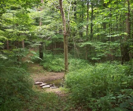 Grins & Pickin's CampFarm LLC