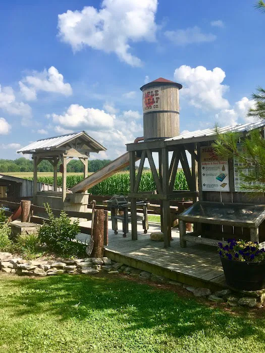 Sunbury / Columbus North KOA Holiday Picture 3