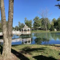 The Cardinal Center ico