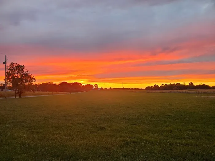 Tree Haven Camp Grounds Inc Picture 8