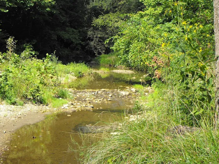 Rippling Stream Campground Picture 10