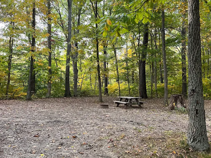 Jackson Lake Campground & Park Picture 6