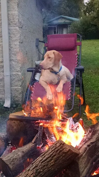 Rocky Creek Campground Picture 9