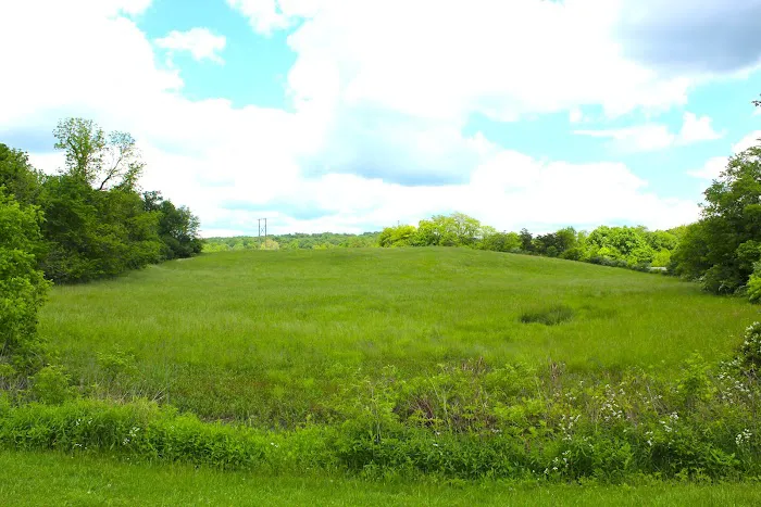 Lazy Dog Camp Resort & Pay Lake Picture 10