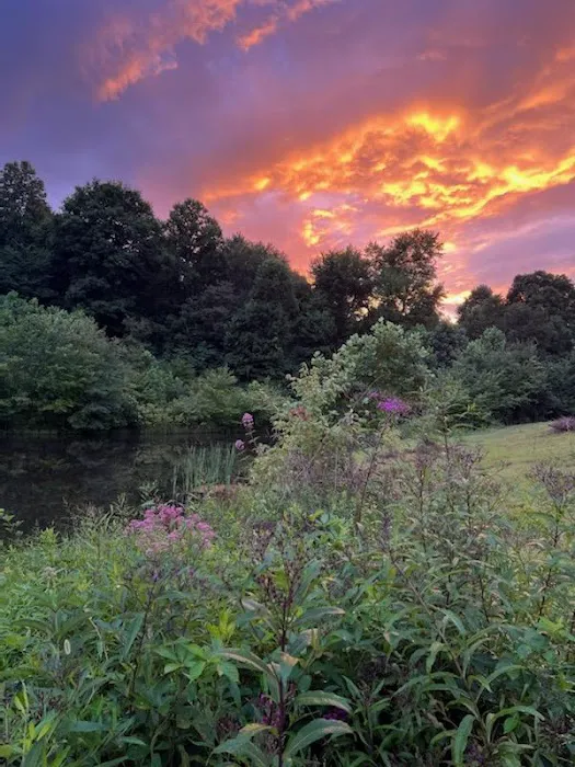 Limestone Bluffs Picture 2