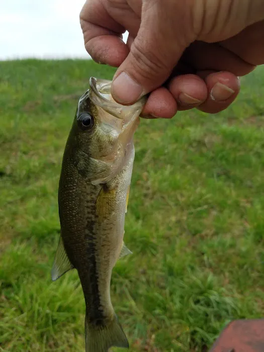 Timber Ridge Lake Picture 8