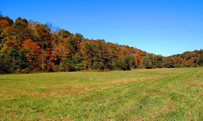 Altenbrauch Farm Picture 10