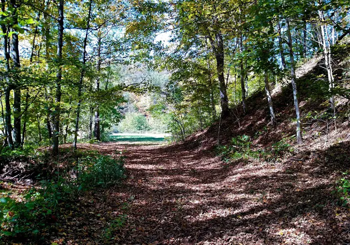 Altenbrauch Farm Picture 9