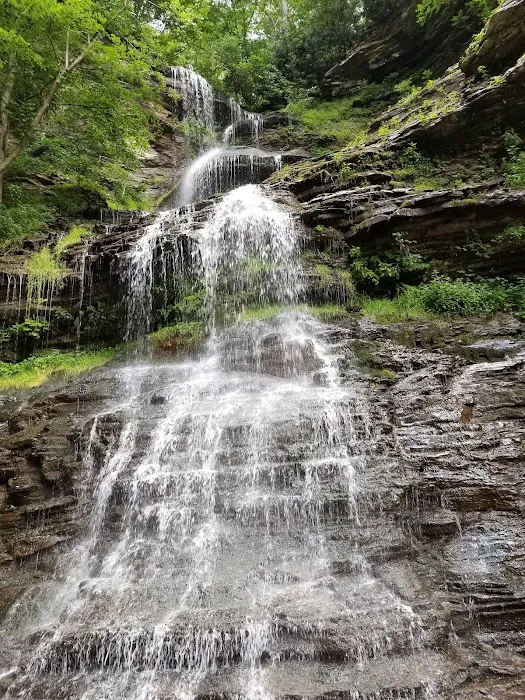 New River Campground Inc. Picture 3