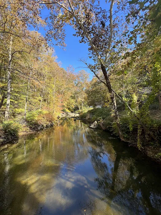 Hawk's Nest State Park Tentrr Double Site A Picture 7
