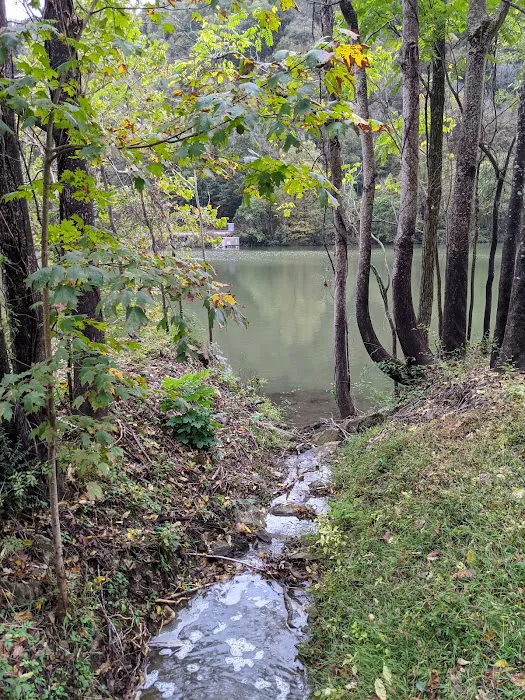 Hawk's Nest State Park Tentrr Double Site A Picture 6
