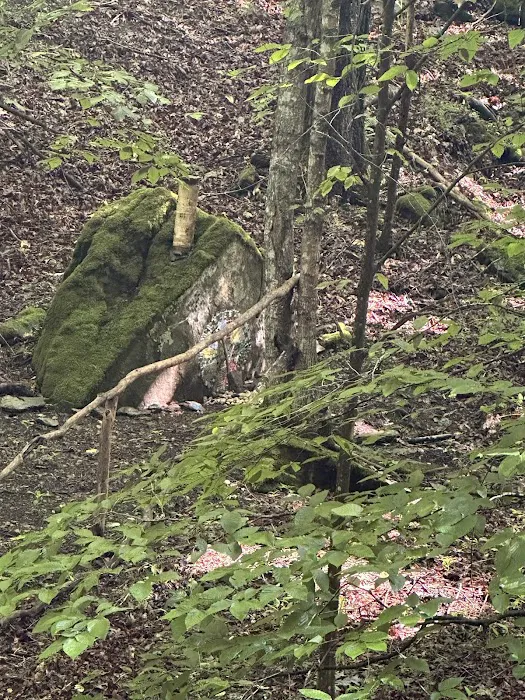 Bear Cave Camp Picture 4