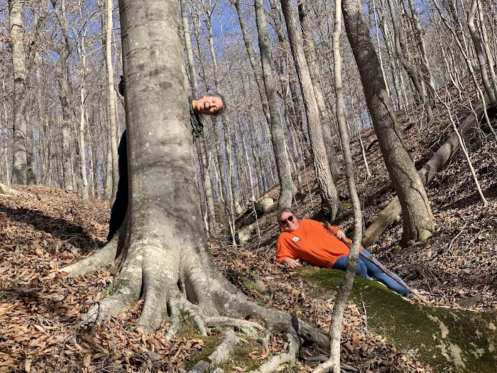 Bear Cave Camp Picture 3