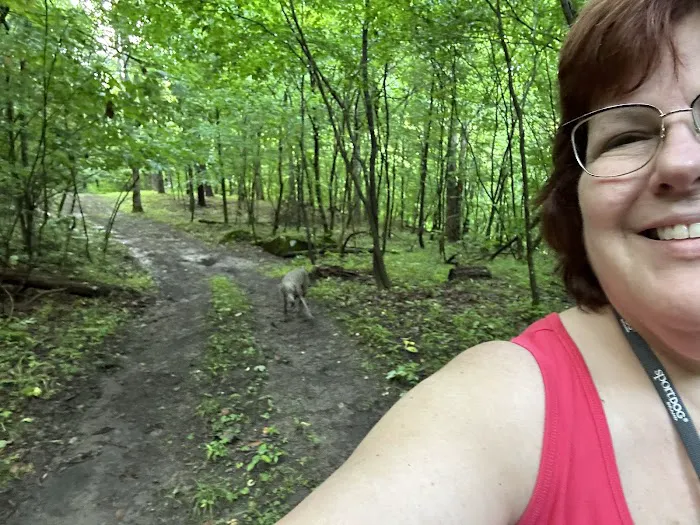 Bear Cave Camp Picture 2