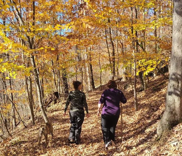 Bear Cave Camp Picture 10