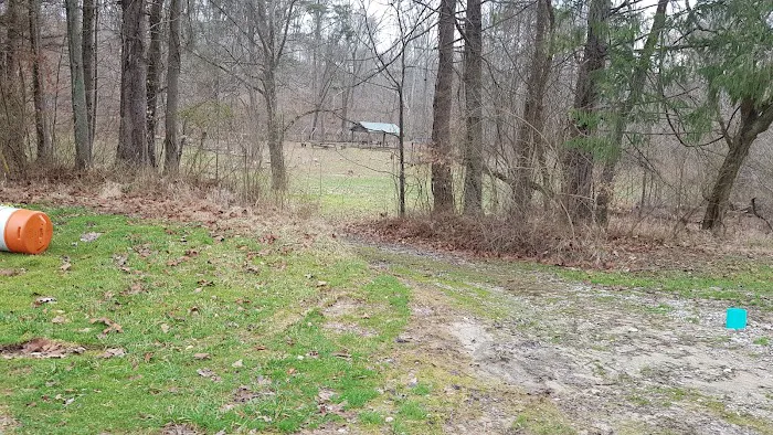 Camp Arrowhead BSA Picture 10